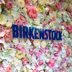 Birkenstock_Widnow_Design_2017_Flower_Wall_Pink_2.jpg